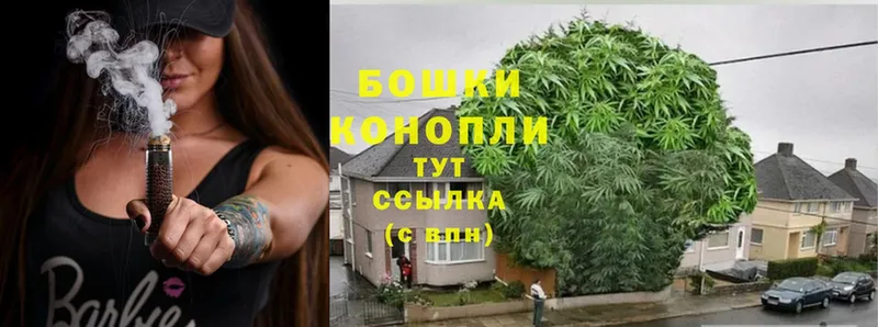 Каннабис SATIVA & INDICA  купить наркоту  Ардон 